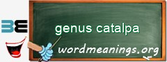 WordMeaning blackboard for genus catalpa